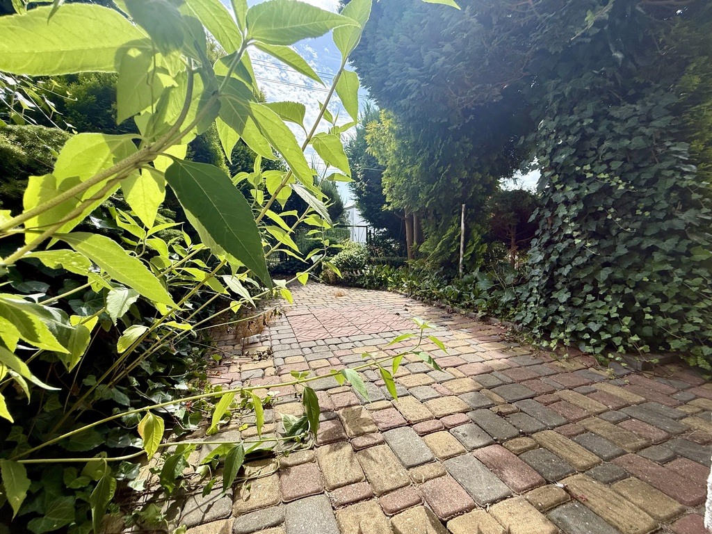 Dom W Grzybowie 800 M Od Morza